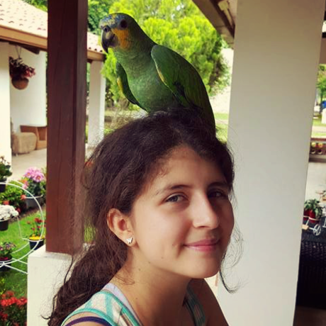 Sofi cc