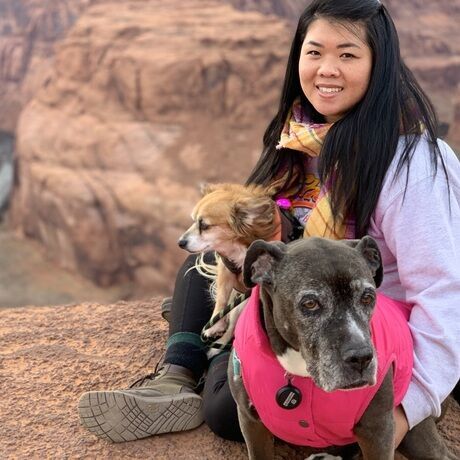 67a7ea74 2bd8 46e3 9f14 14fe61bf6138