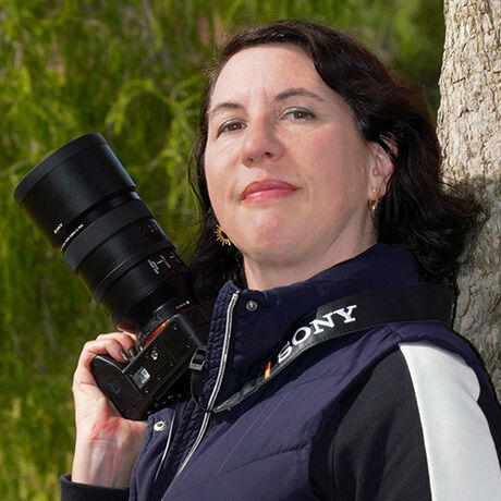 Amytierneybiopic r3 500px