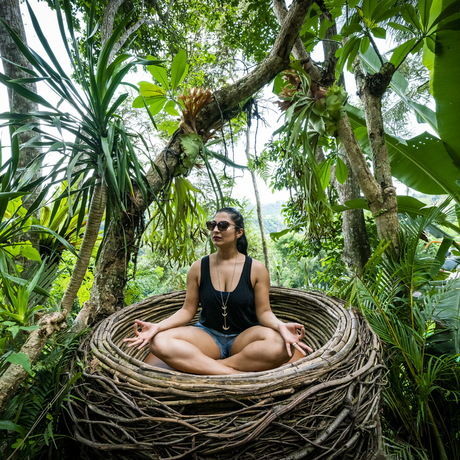 2a6c01b4 a46d 4110 a260 711d2e84b7bb