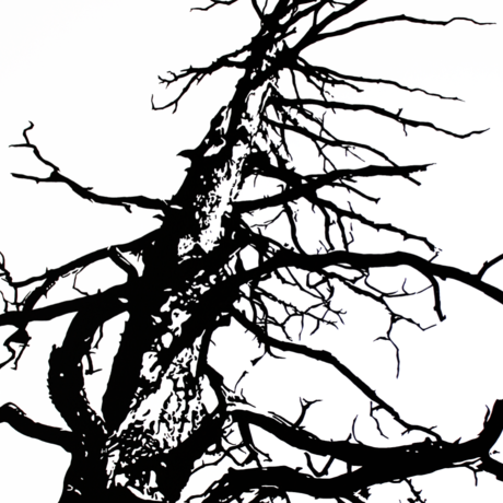 Screen shot 2018 06 19 at 9.39.21 am