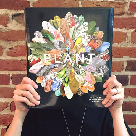 22499142 10159420331305305 8766893220772462744 o copy