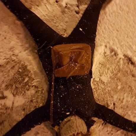 15780726 10202917528216031 2488650373273663337 n