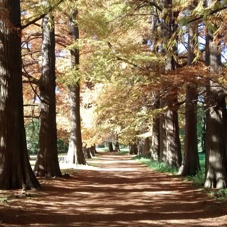 Img 20180525 113710510