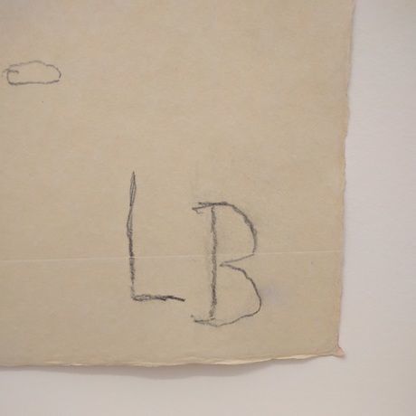 Lb img 20170126 125404