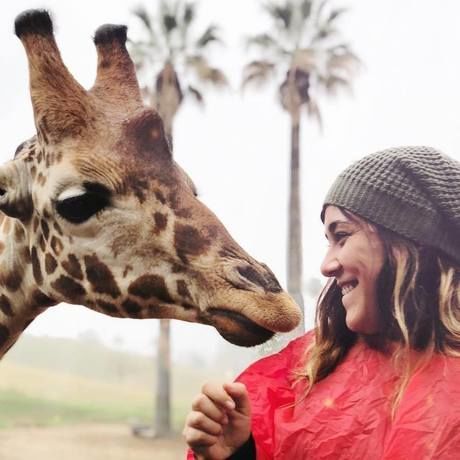 29067012 10156387946986802 104184430448345088 n  1 