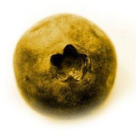 6261583d7926fe5684d8c89a22843a53