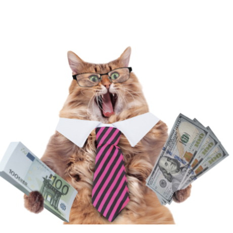 Screen shot 2018 07 11 at  6.17.18 am