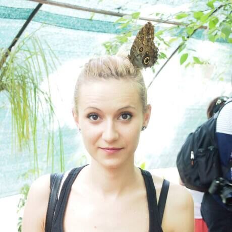 975983 551448758239808 799740721 o