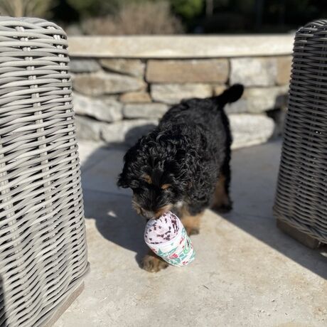 Ff6fd91e c4dc 4bed aa26 8bf41c7364a8