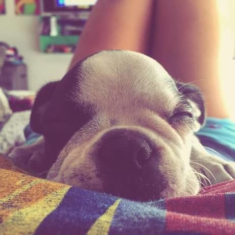 13046224 1084222511621230 2068225891 n