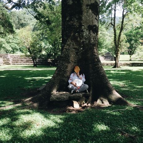 6b2bc468 ace9 45de 90fc f36340fe25c6