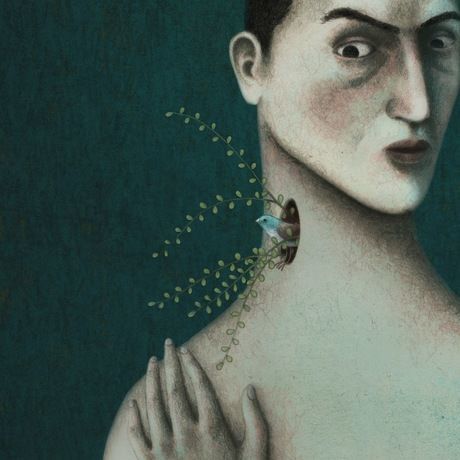 Suen%cc%83o del pa%cc%81jaro