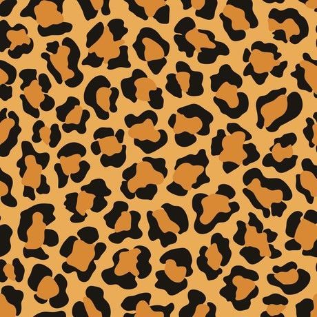 Animal print image