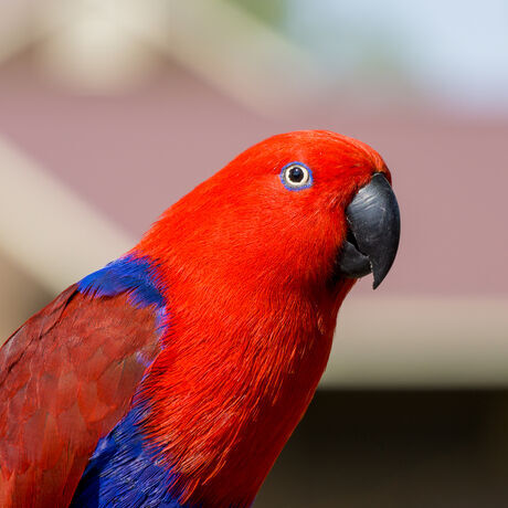 0c9308bb 771c 4e3c b8c1 8e3946001c11