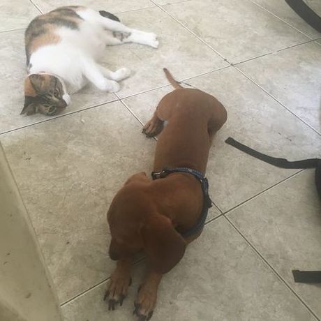 812d88c6 cc03 4ca0 87e5 a6cd1f91cdce