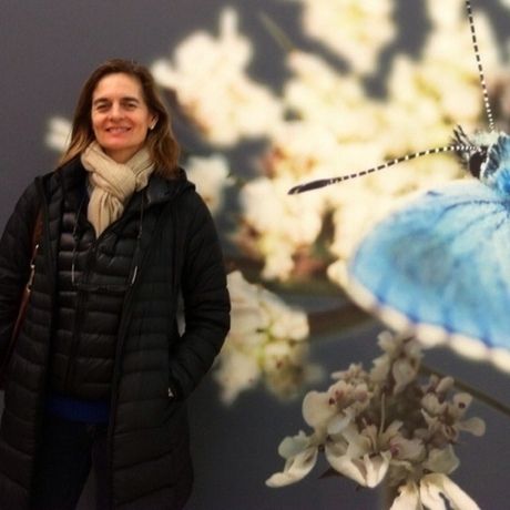 Edce54fd62a3e31b9708bcc8f28e8ebf