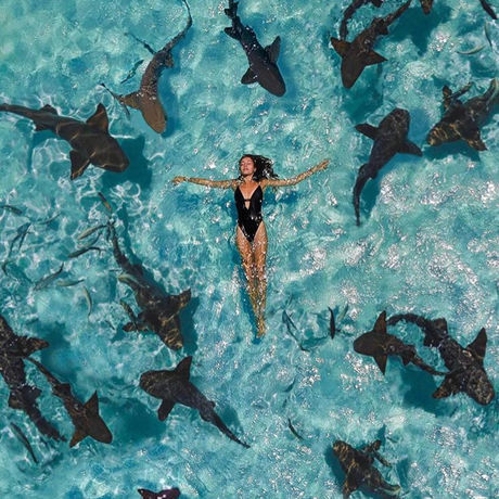 5f9c1118 1130 460e b101 00ad39c93b6a