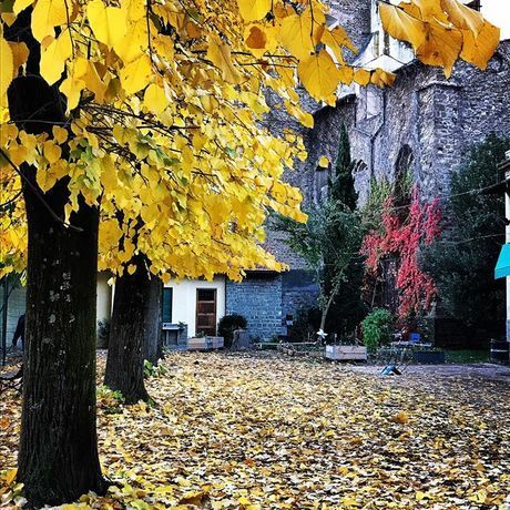 Autunno nidiaci