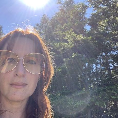 C9777940 245b 43d5 9b7d 63767d1567f5