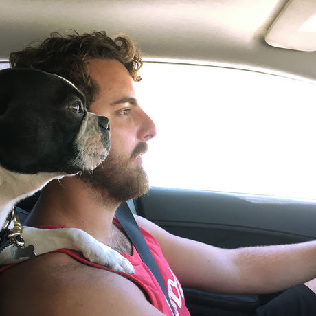 Wayne and walter the frenchton in the car