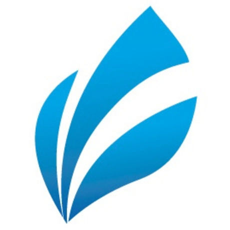 Bluekey icon