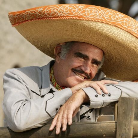 Vicente fernandez gi