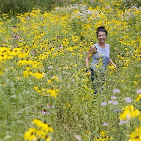 Prairie pic