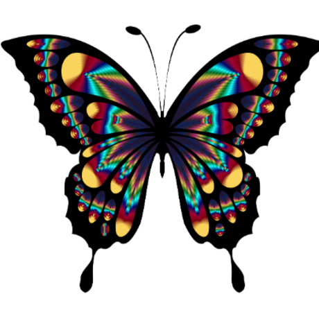 Screen shot 2018 11 26 at 11.02.33 am