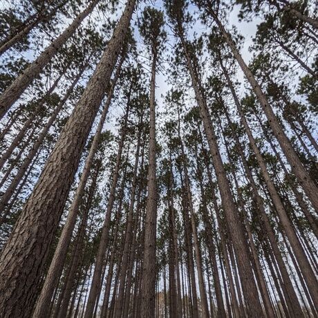 Pxl 20201231 171950333