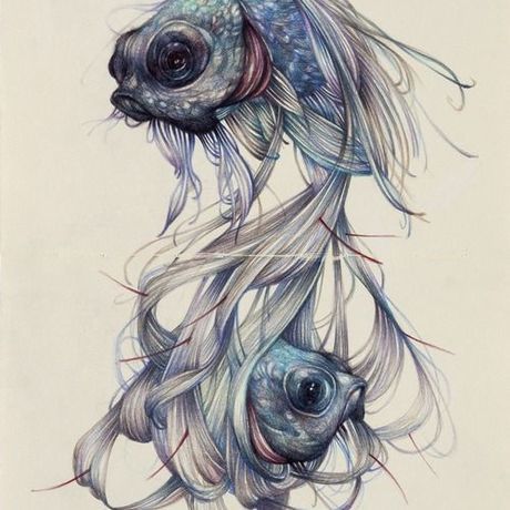 F961e7ff6831385223d06d93009c9f2a