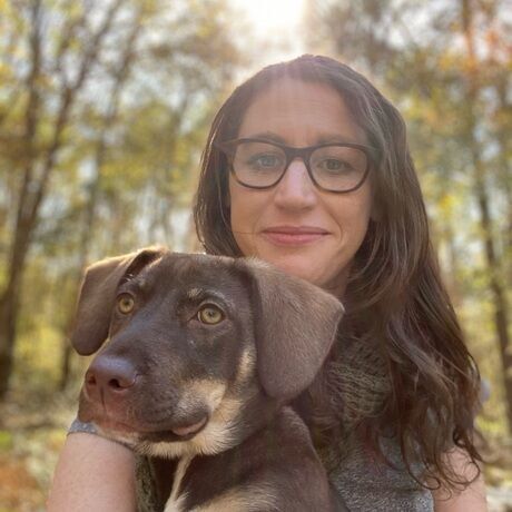 29a33b81 1042 47d5 940e 230d56a409d7