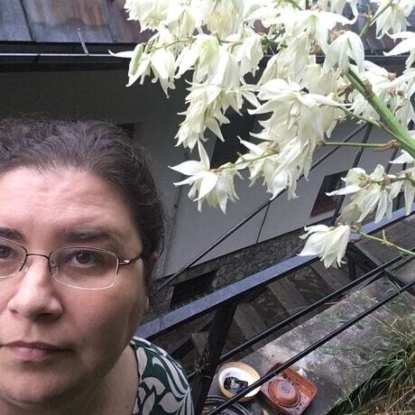 843533b2 b4d1 4939 adfc e2c1ef7f0767