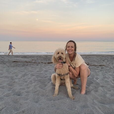 D7e08d13 28b7 4692 a780 a1bc81828503