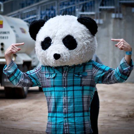 Pandahead