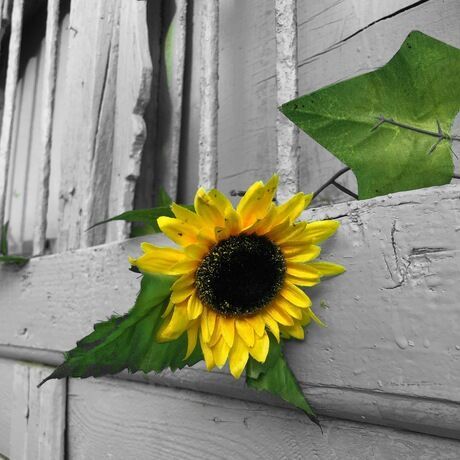 7f59cc16 b4c7 4512 bd96 c1084824fdca