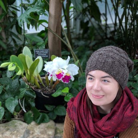 Ffyten minnesota conservatory