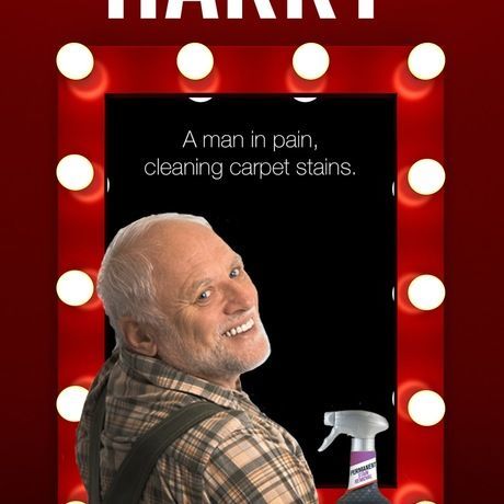 Stainmaster haroldstarsasharry