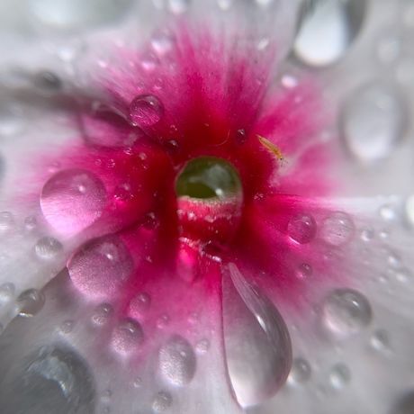 Image 1 2019 10 02 16 08 40