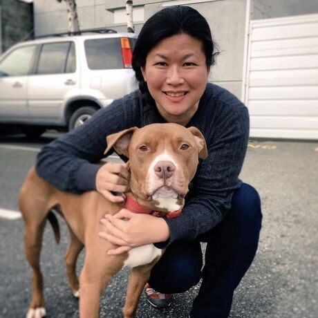 Cf73798a 76c5 4526 9ba8 53dced30ba39