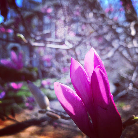 B6704acb 7846 4e87 a184 071c34981ba3