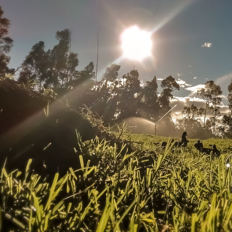 Inbound4991140176057025357