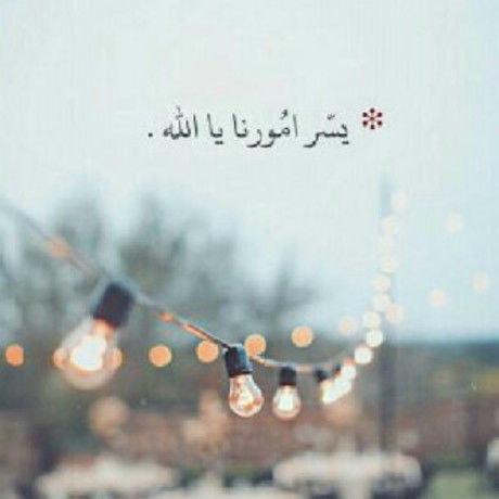 B561fdf8d0815226ce3d3d83027984ca