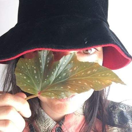 41c26c5c 309d 41ac a20b cdf39661fe86