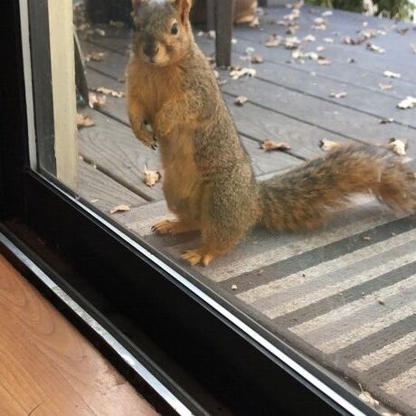 7f2fb681 dc79 4ee7 a8ad 2b376e2e505c