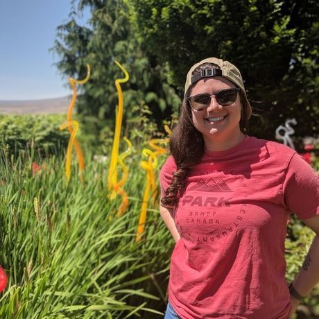 78618a80 4234 4138 9027 02008fb1ea50