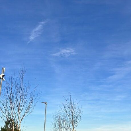 237780b7 3c9c 4b17 88eb 51b203fd666b