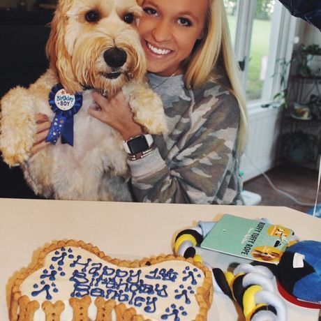 E4a48bb0 4239 454a 846a c5bbe317081b