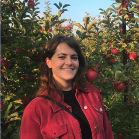 Screen shot 2021 01 04 at 9.22.45 am