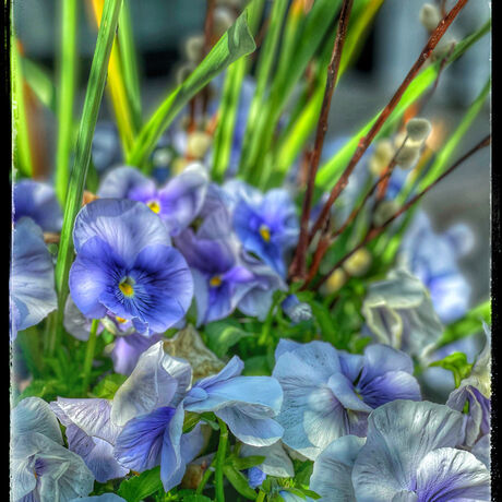 B8d577fb d2fa 4579 977b ab05515215aa